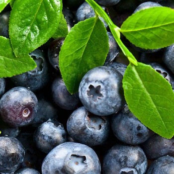 Blueberry syrup Naturprodukt