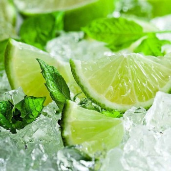 Mojito Sirup Naturprodukt