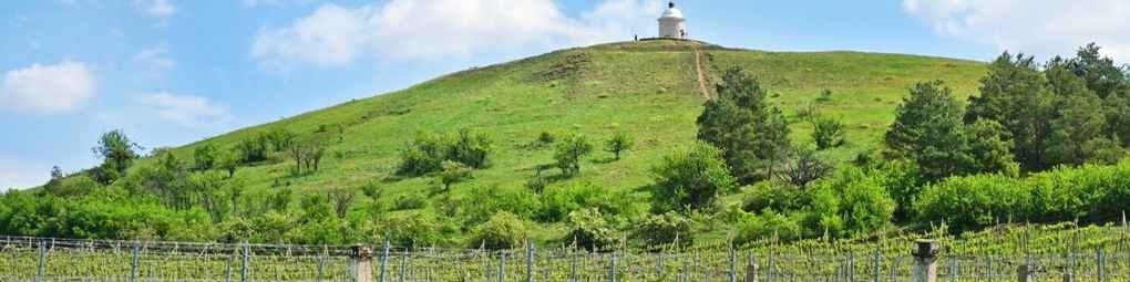 South Moravia | SaveurSuprême.com